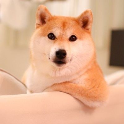 大頭照