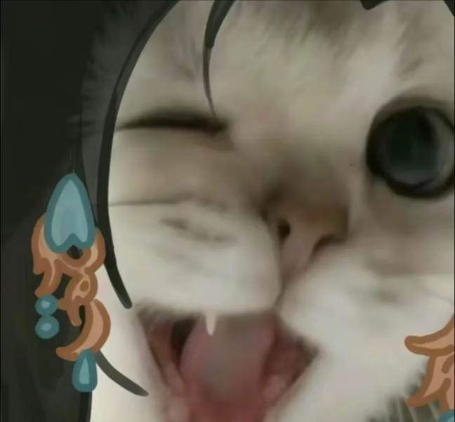 大頭照