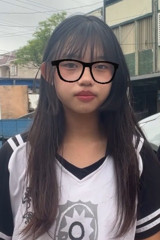 大頭照