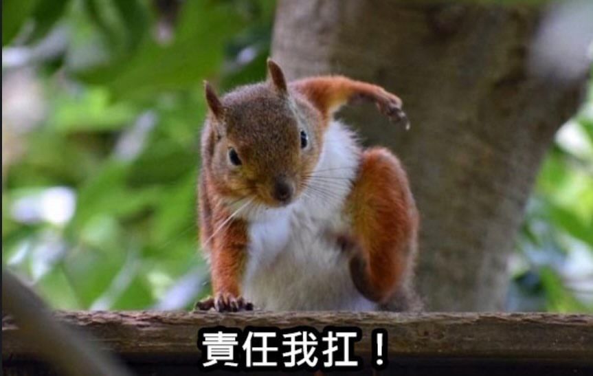大頭照