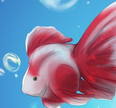 大頭照