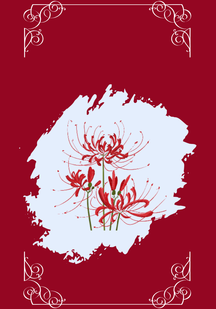 由我一生幫妳除靈（暫）