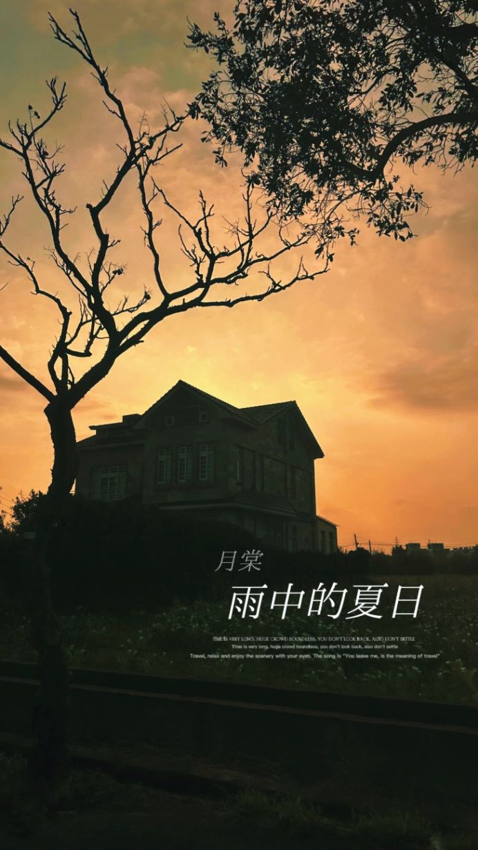 雨中的夏日