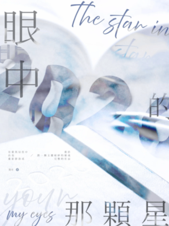 《眼中的那顆星》
