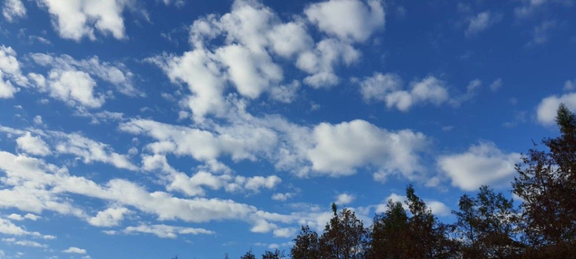 關於青春這件事