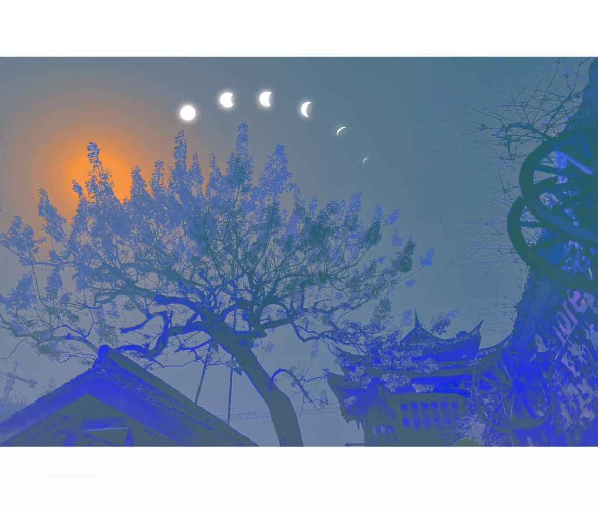 战败后被迫嫁给敌军领袖