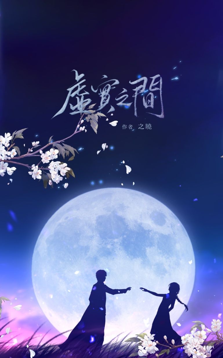 虛實之間
