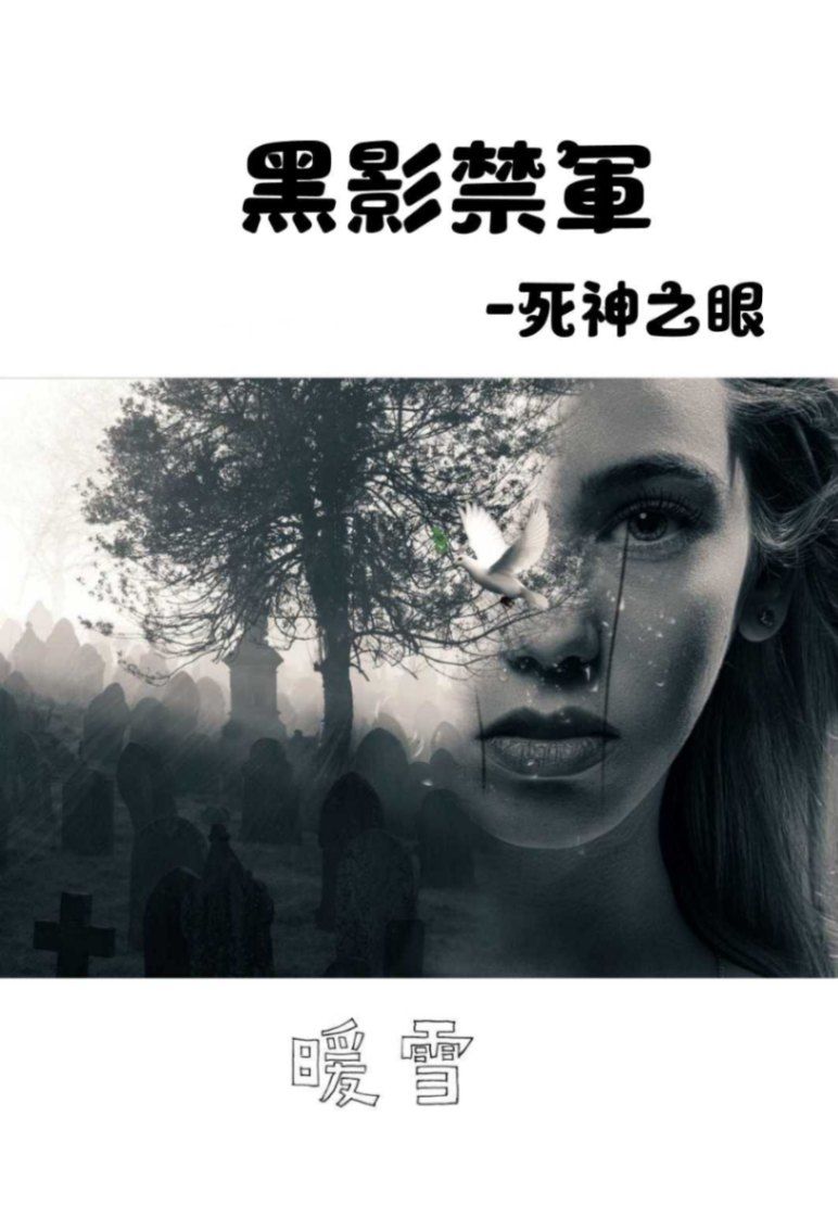黑影禁軍-死神之眼
