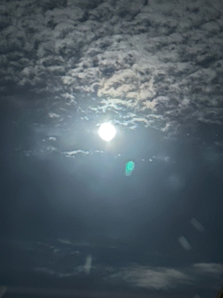 (H)驸马驾到(摇曳碧云斜)