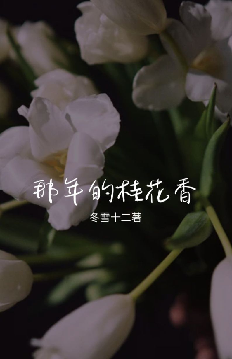 那年的桂花香