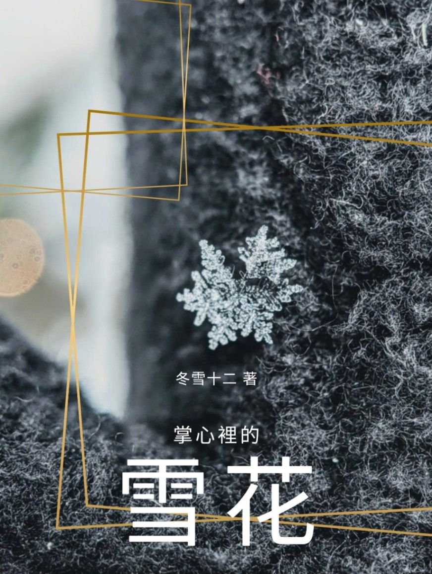 掌心裡的雪花