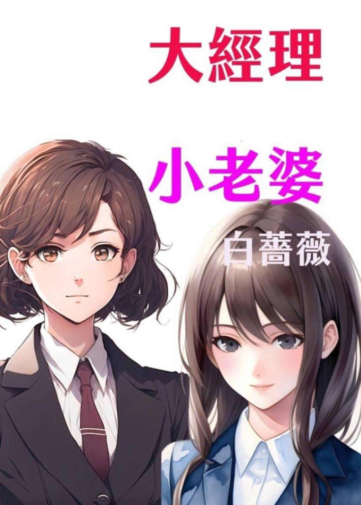 大經理小老婆(小說)