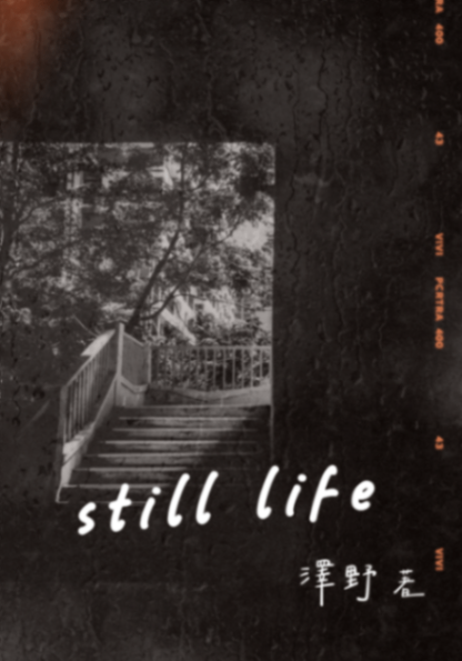 still life