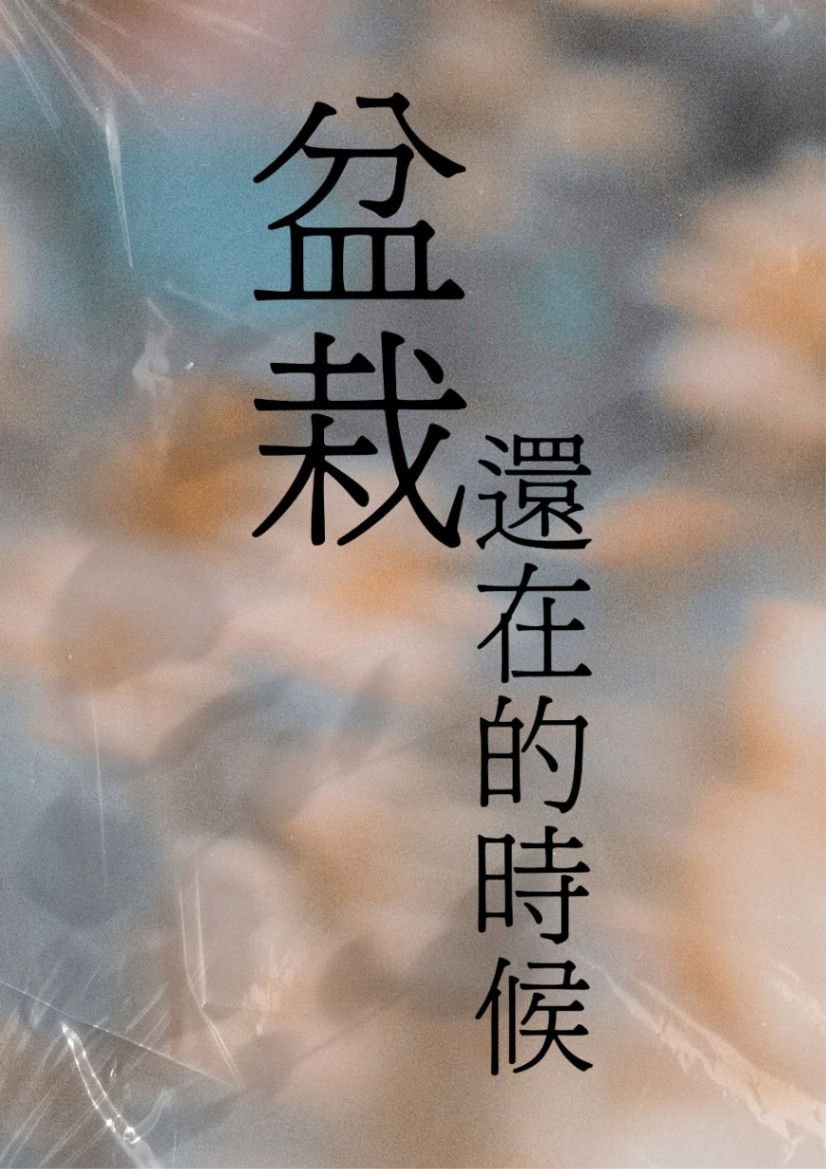 盆栽還在的時候