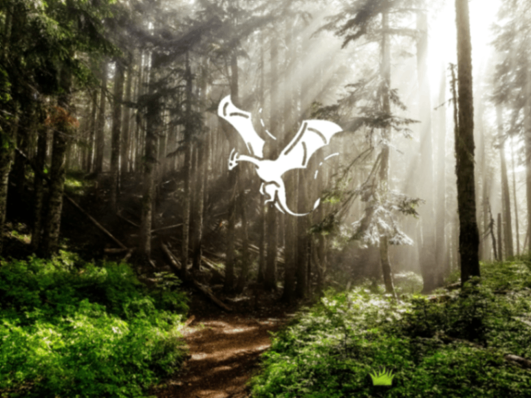 尋龍者（Dragon Chaser）