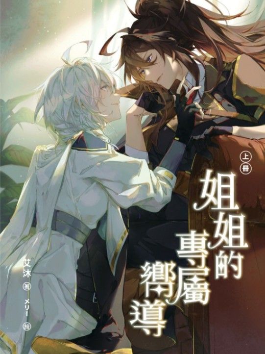姐姐的專屬嚮導