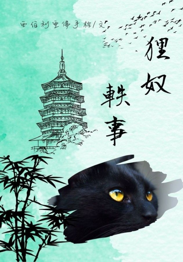 狸奴軼事