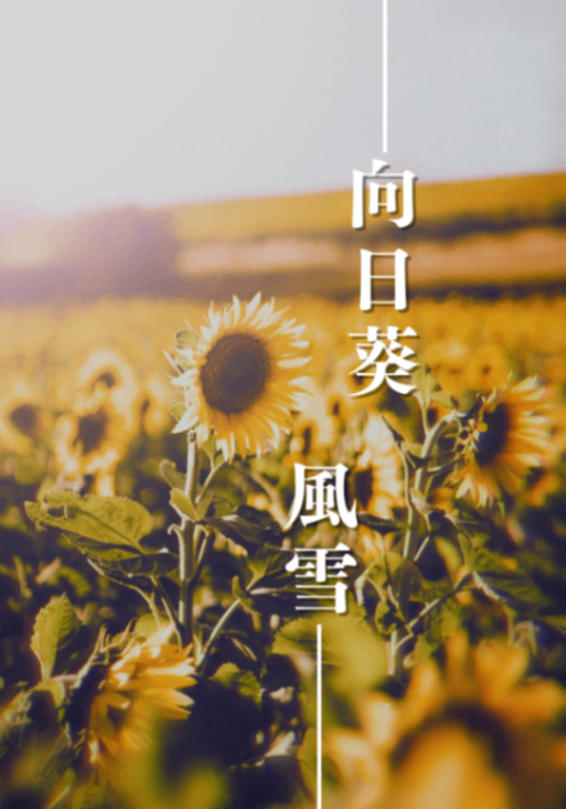 向日葵風雪