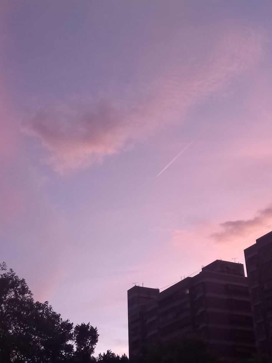 但願