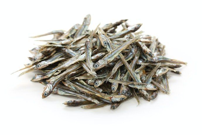 大頭照