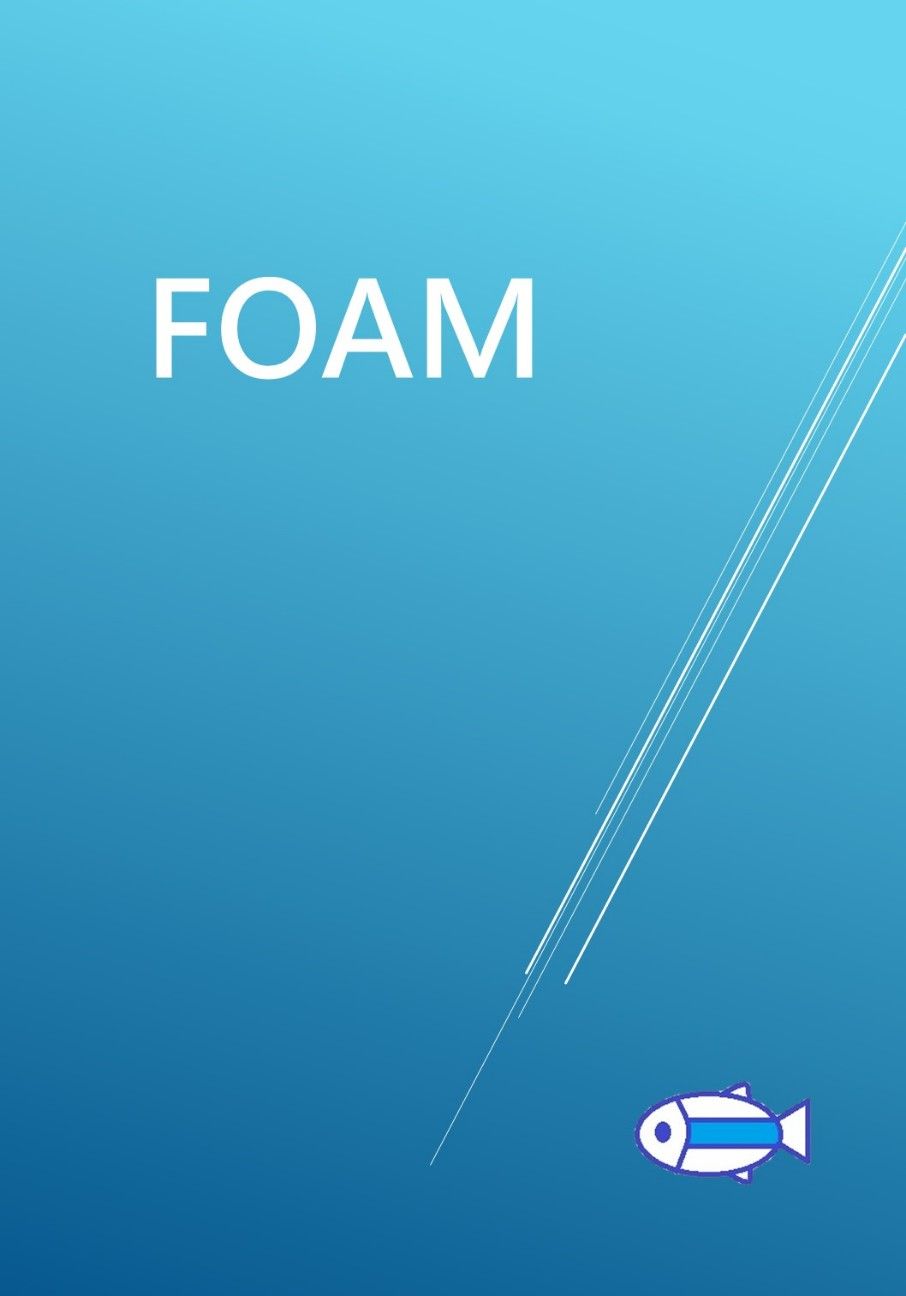Foam