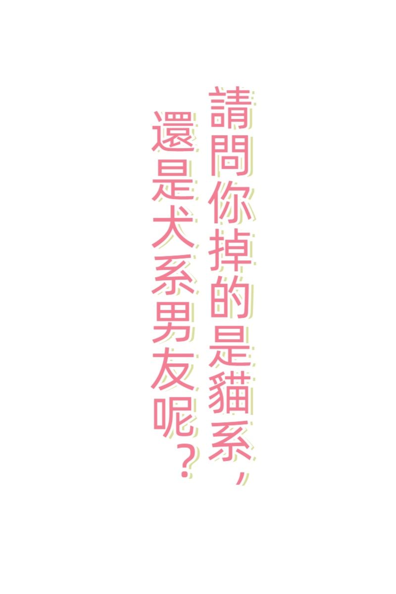 請問你掉的是貓系，還是犬系男友呢？