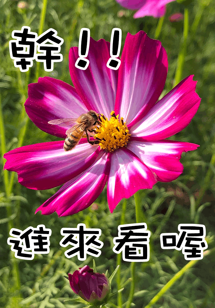 慾禪傳
