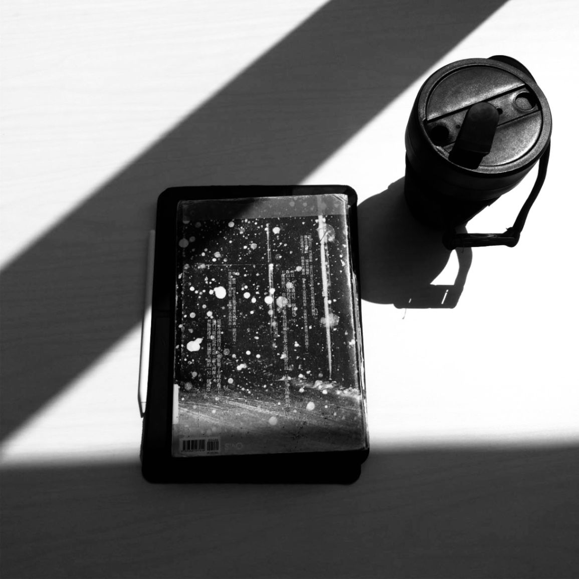 誓言日日是海參の日