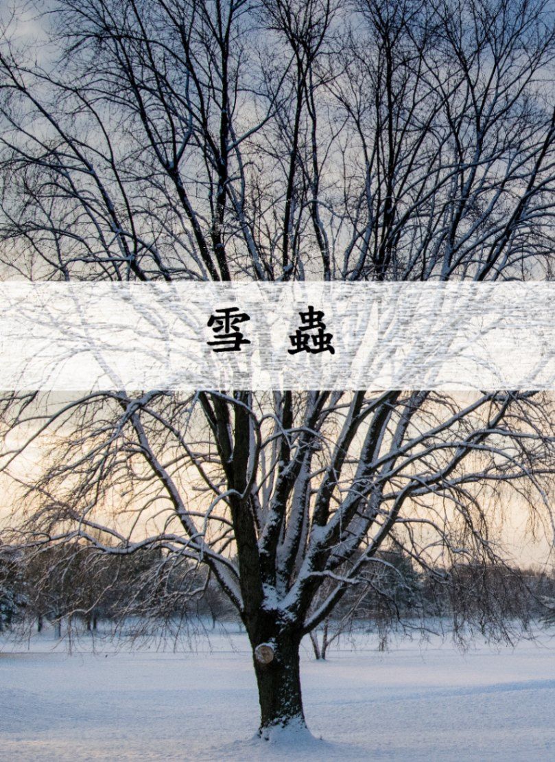 雪蟲