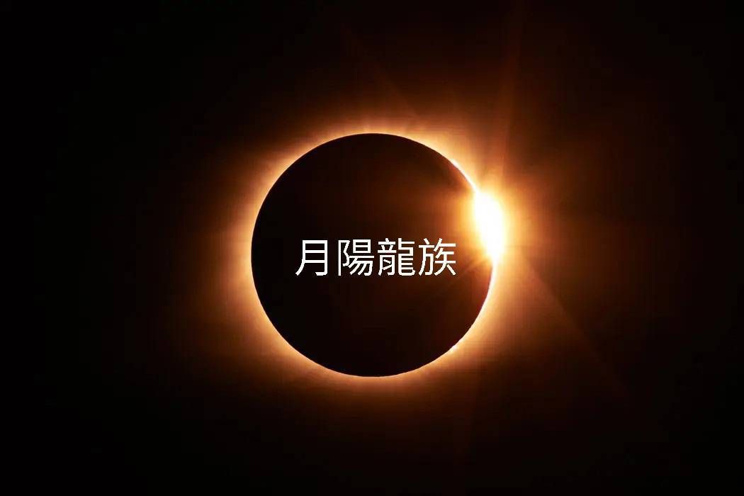 月陽龍族