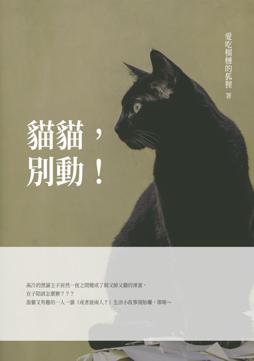 貓貓！別動！