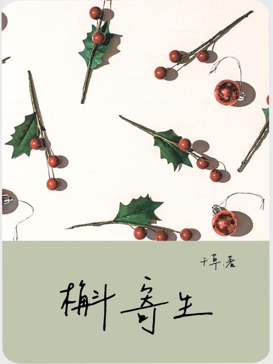槲寄生