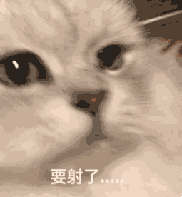 大頭照