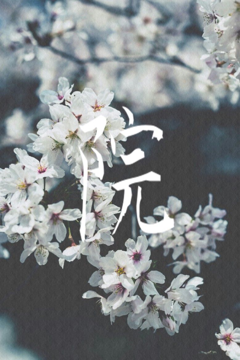 院