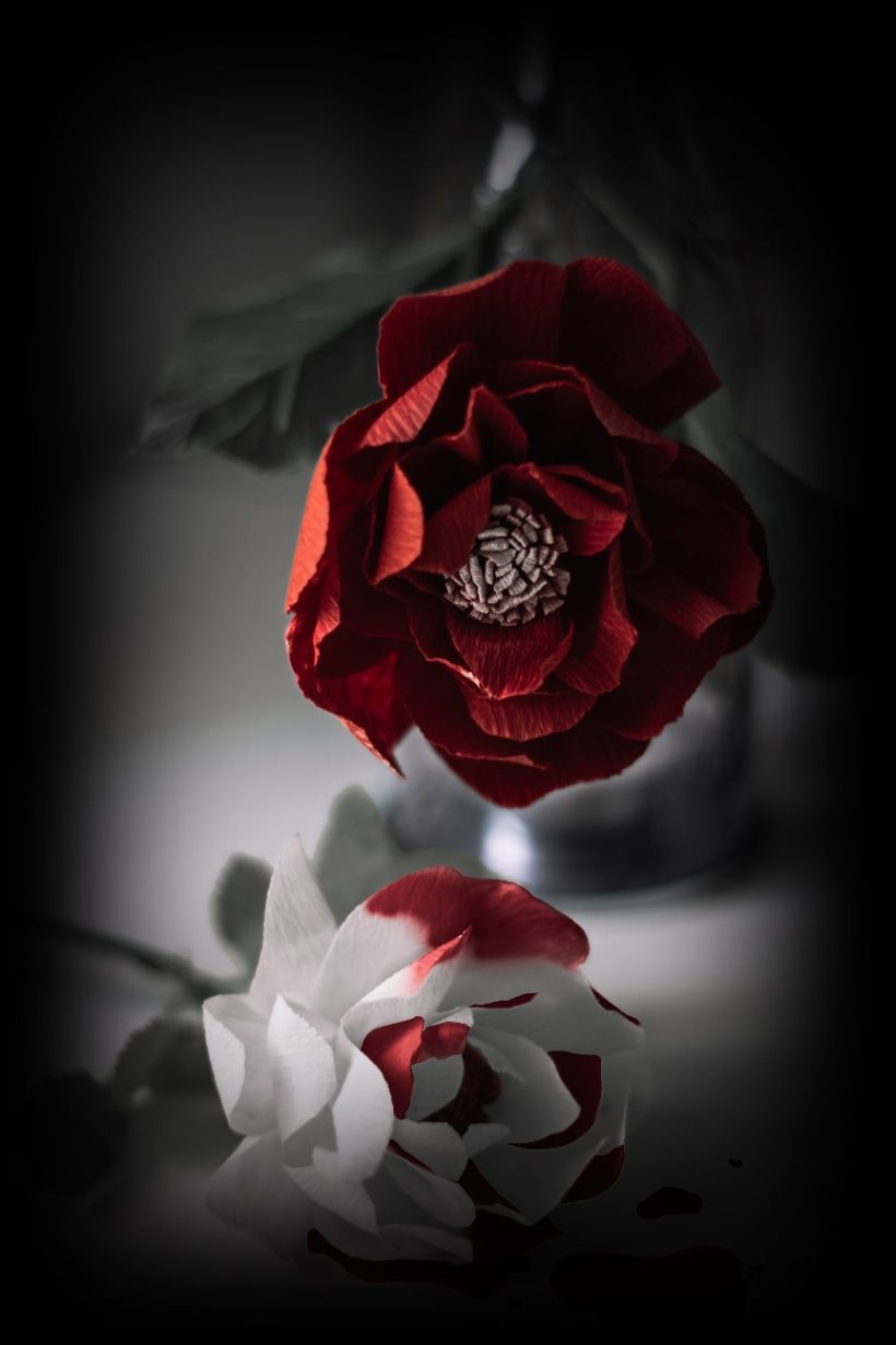 所以妳這女人到底是為什麼要嫁給爸爸