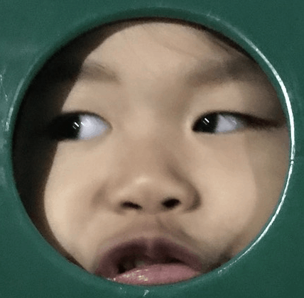 大頭照