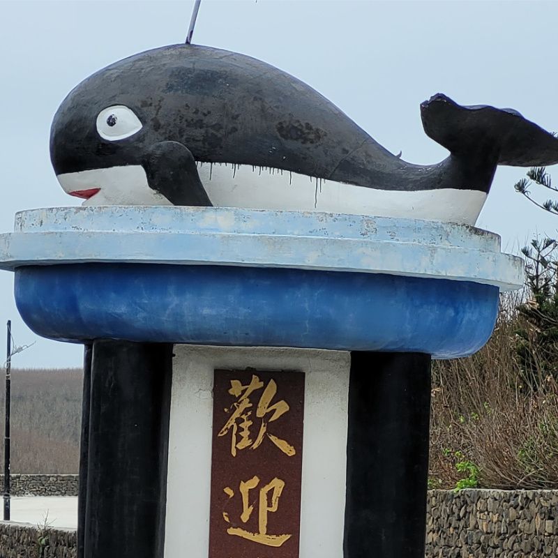 大頭照