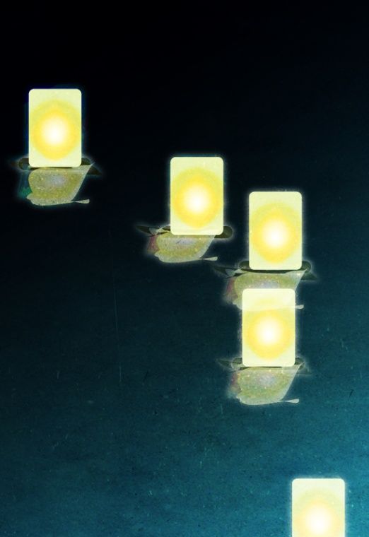 《夜行虫》