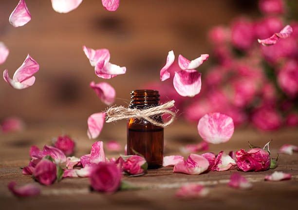 帶一朵花見你