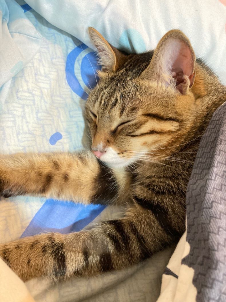 『蔚藍』的世界