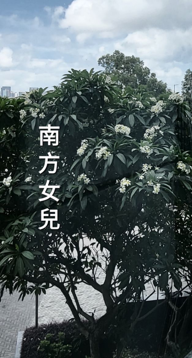 南方女兒