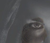 獨眼雀