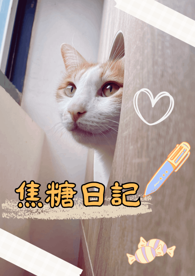 焦糖日記